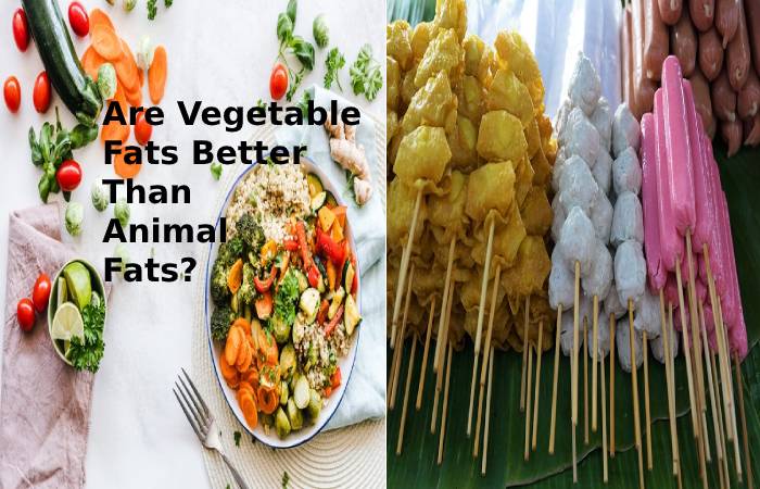 Are Vegetable Fats Better Than Animal Fats?