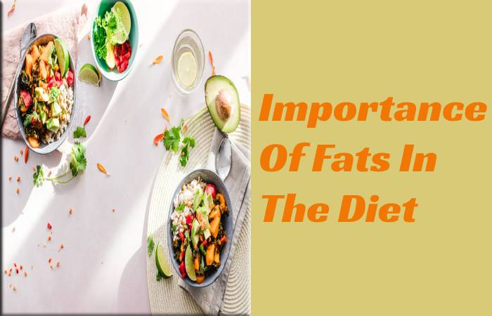 Importance Of Fats In The Diet