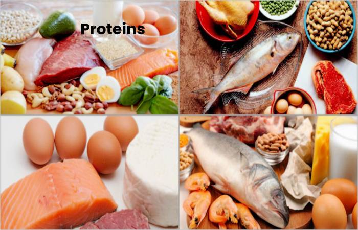 Proteins