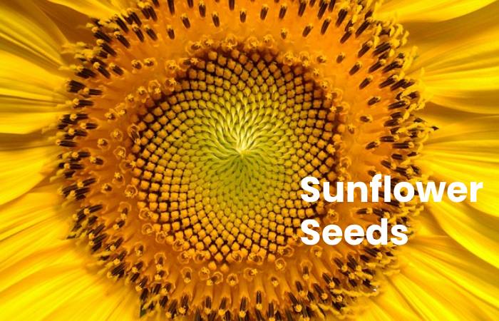 Sunflower Seeds