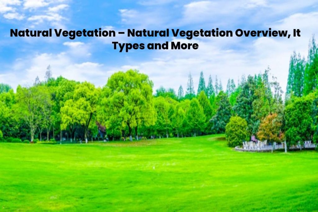 natural-vegetation-natural-vegetation-of-india-types-of-natural