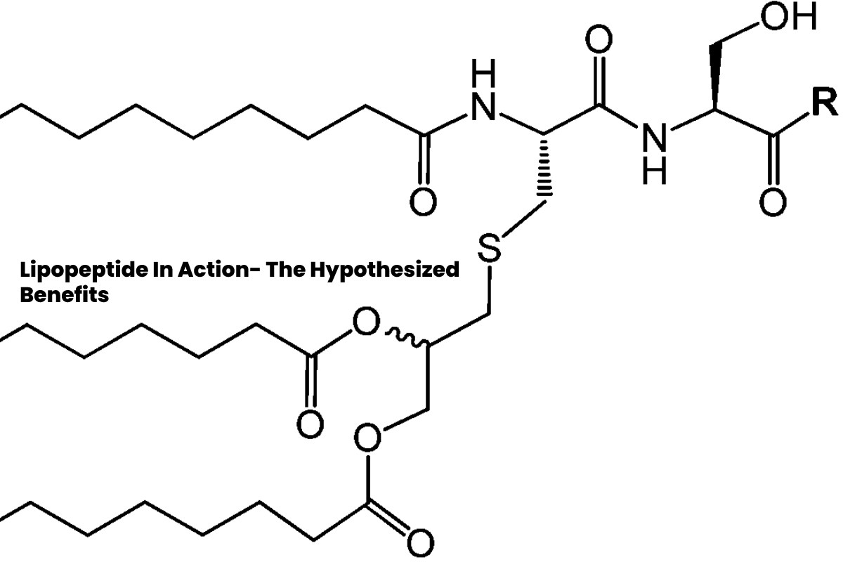 Lipopeptide