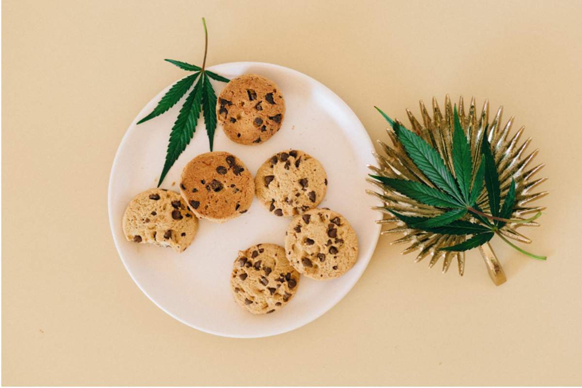 Cannabis Cuisine